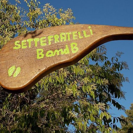 B&B Sette Fratelli San Gregorio  Exteriör bild