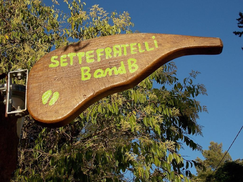 B&B Sette Fratelli San Gregorio  Exteriör bild