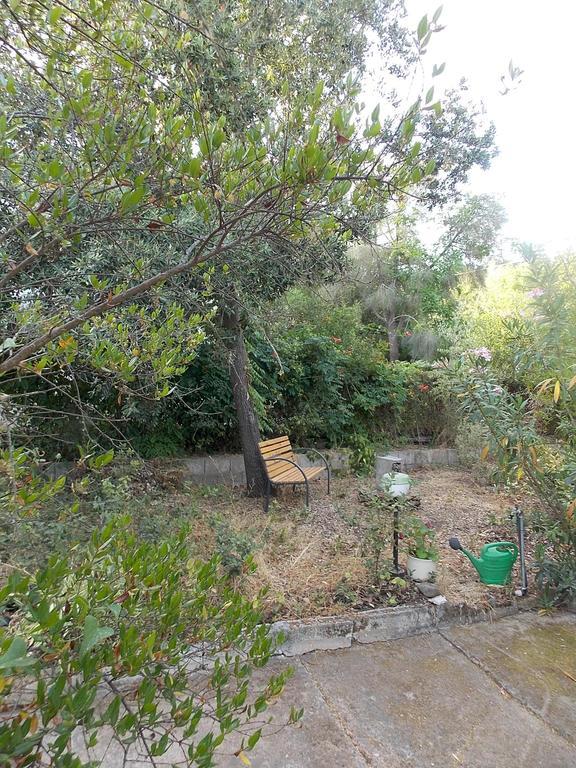 B&B Sette Fratelli San Gregorio  Exteriör bild