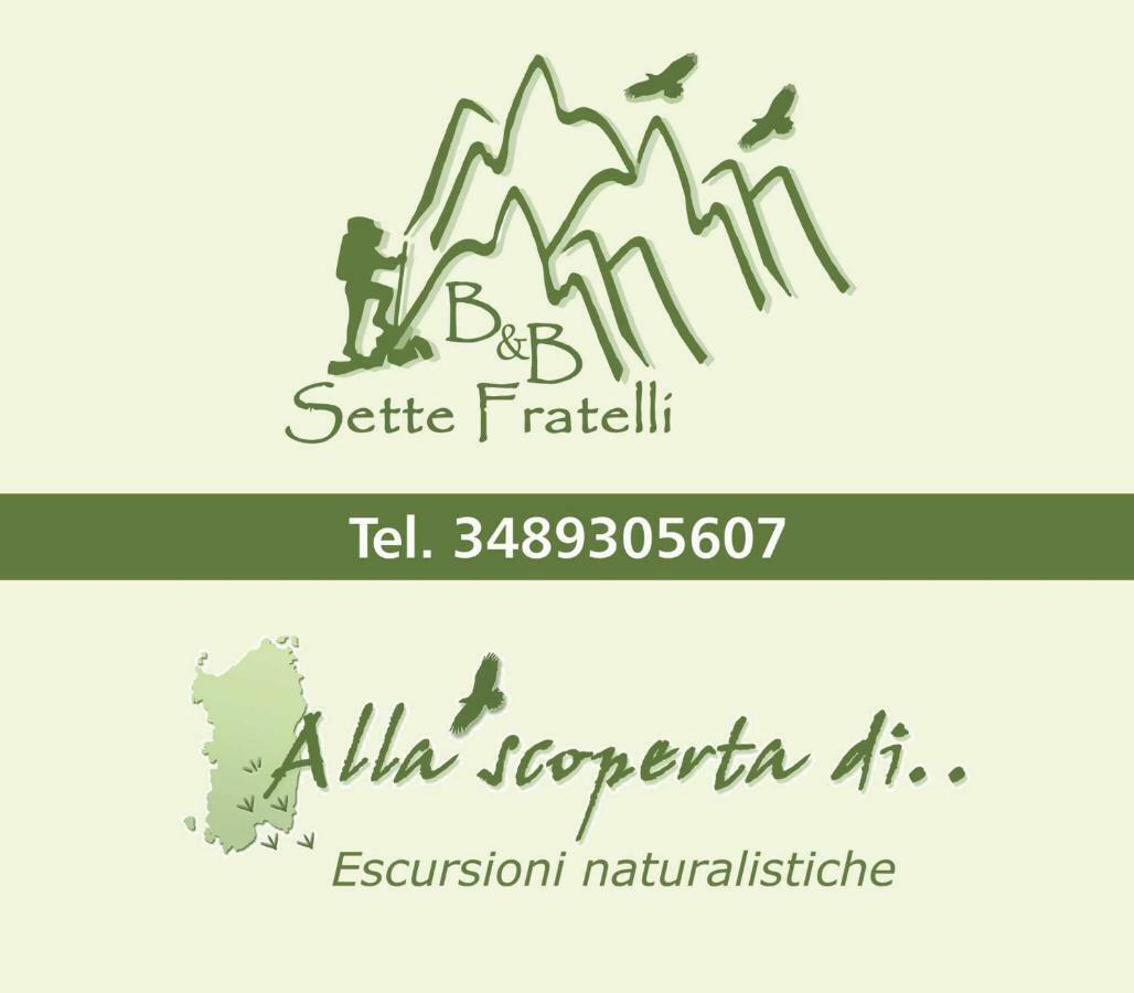B&B Sette Fratelli San Gregorio  Exteriör bild